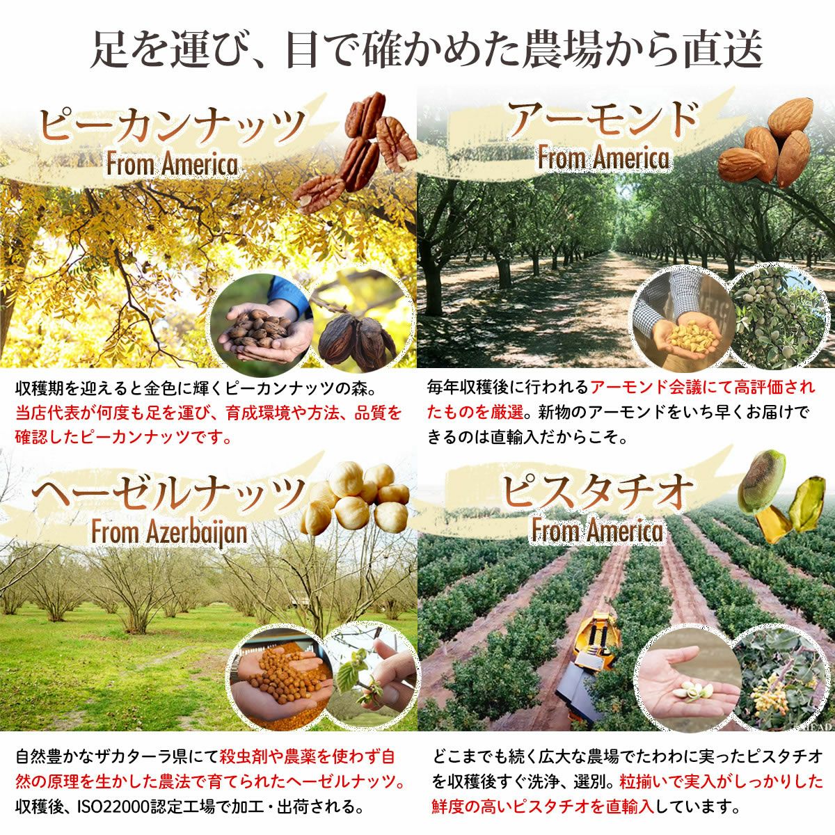 贅沢7種 ミックスナッツ 250g×2袋】 | ナッツクリエイト このみみ